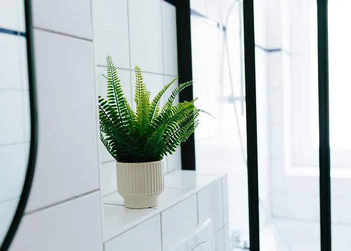 Stay-a-while I Emilio I Wlan